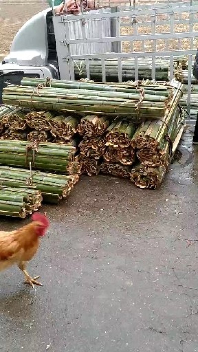 竹