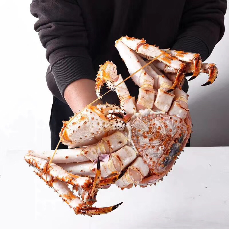 帝王蟹
