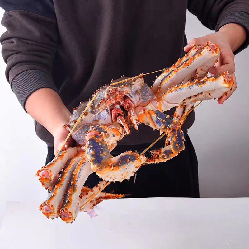 帝王蟹