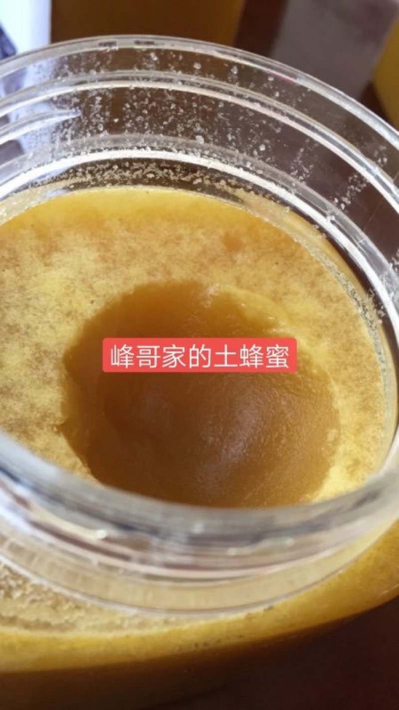 湖南湘西高山岩崖一年百花土蜂蜜
