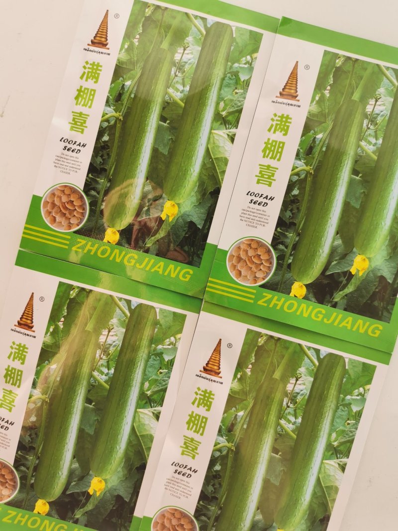 满棚喜帮达清香短帮油皮丝瓜种籽10克袋装支持线上交易