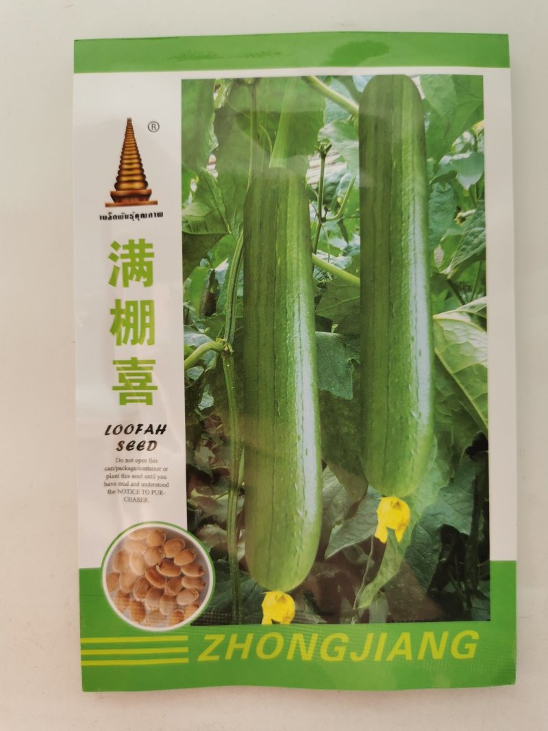 满棚喜帮达清香短帮油皮丝瓜种籽10克袋装支持线上交易
