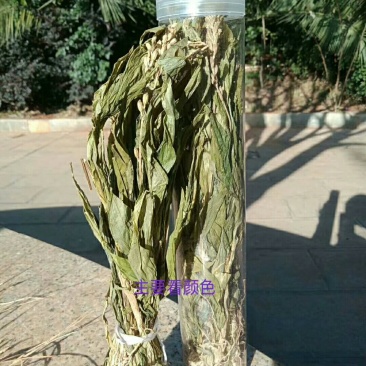 见血清干货需要联系我哦