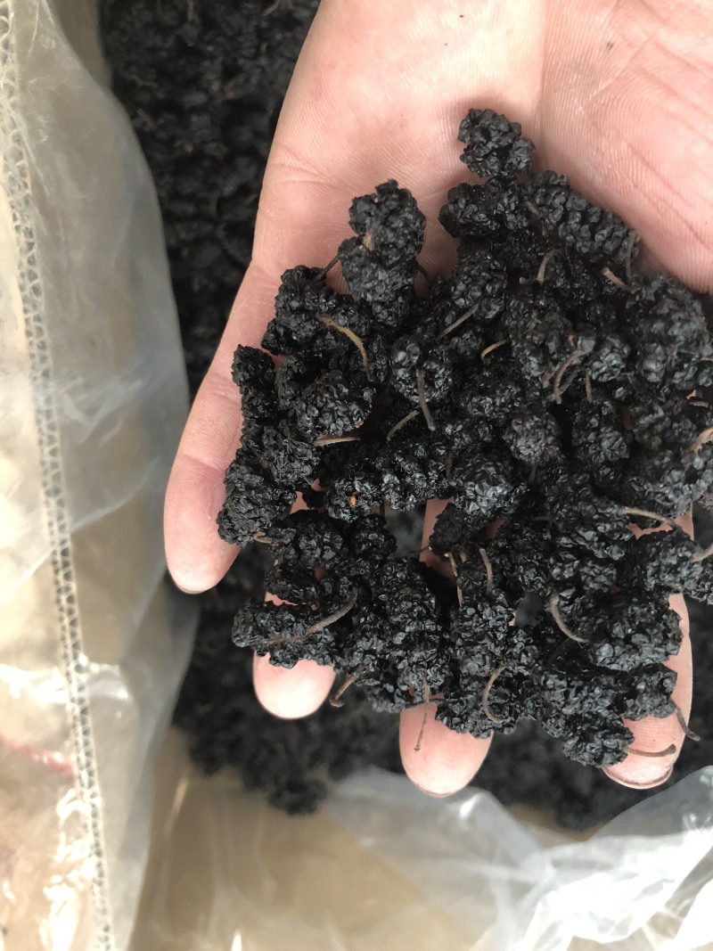 【精品】河北黑桑葚干无沙无碎、颗粒饱满、免洗新货一手货源