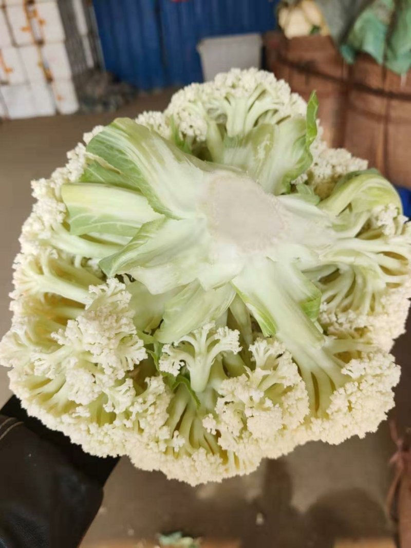 散花
