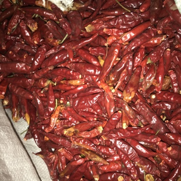 辣椒王三鹰辣椒，干湿