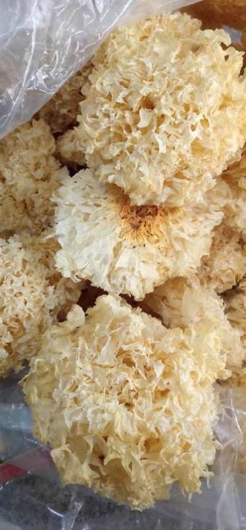 福建特产白木耳花银耳花古田银耳，农产品干货
