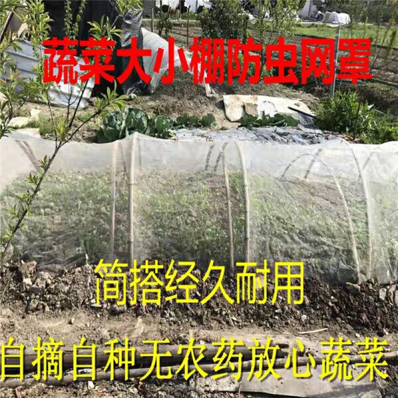 防虫网农用蔬菜大棚专用定做家用尼龙防虫网罩青蛙养殖围网脐