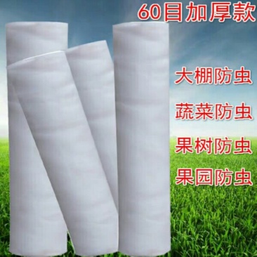 全新料抗老化蔬菜防虫网大棚蔬菜40/60/80/100