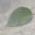 全新料抗老化蔬菜防虫网大棚蔬菜40/60/80/100