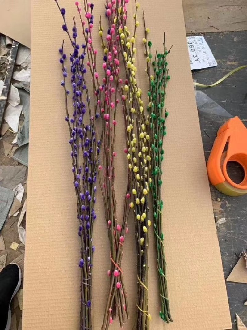 年宵花卉银柳彩色银柳鲜枝真花水养植物银柳干花室内客厅装饰