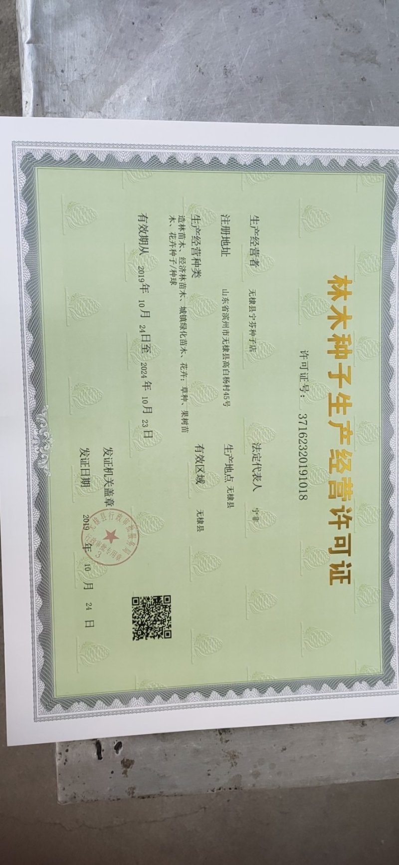林木种子经营许可证代办授权备案橙子苗果树苗