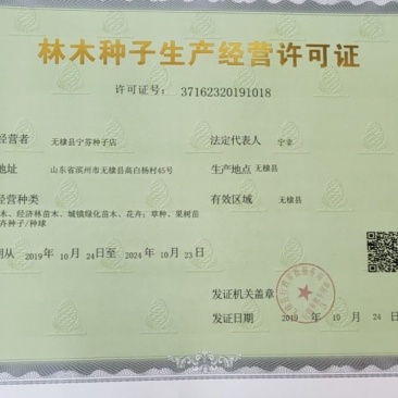 林木种子经营许可证代办授权备案橙子苗果树苗