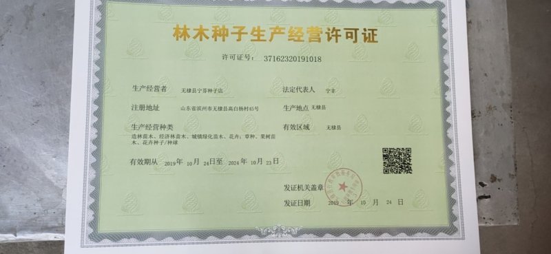 林木种子经营许可证代办授权备案橙子苗果树苗