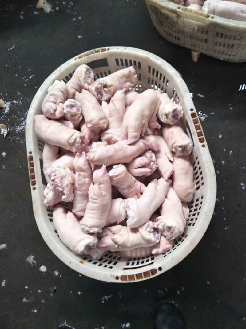 猪爪，猪头，大肠，小肠，猪肚，猪干批发量大从优