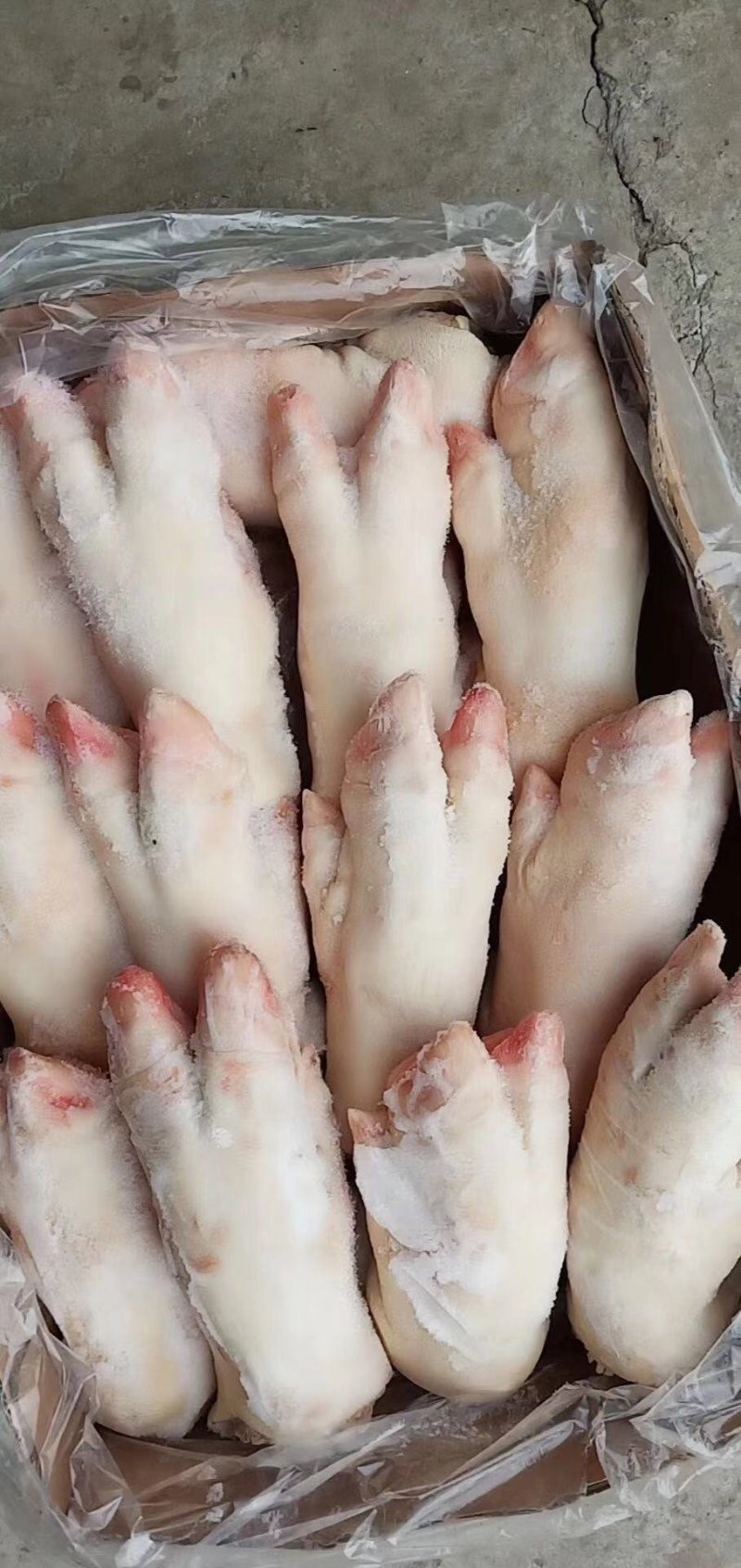 猪爪，猪头，大肠，小肠，猪肚，猪干批发量大从优