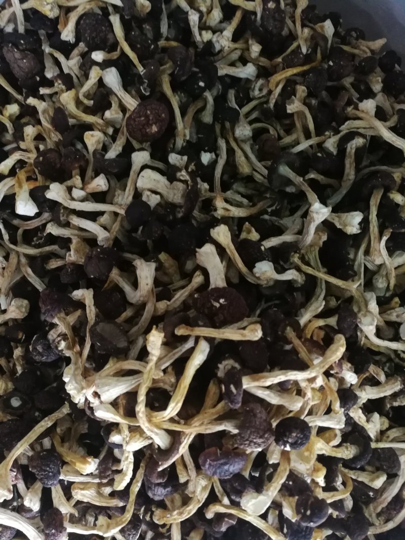 球盖菇出售！干货和鲜货