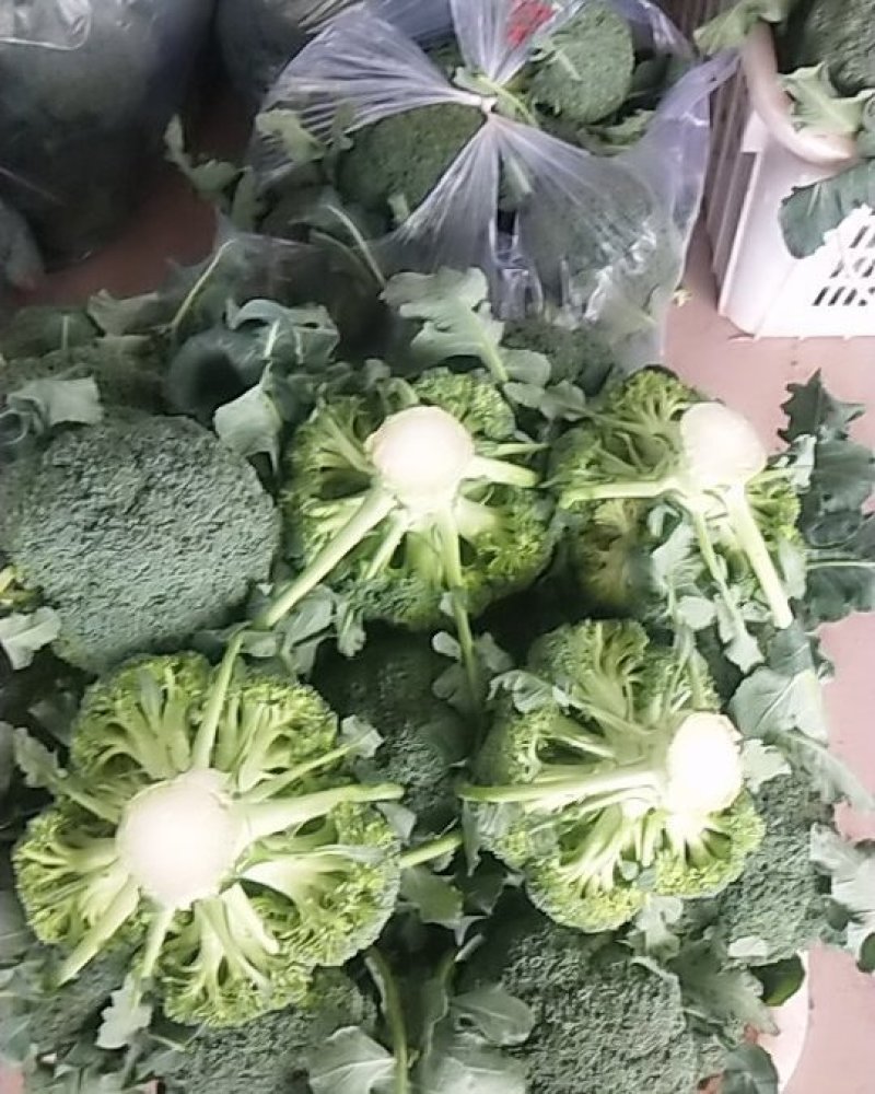 西兰花，四川精品西兰花大量有货，面向全国一手货源。