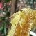 高山纯野生蜂蜜树洞蜂石洞蜂绝对正品抢手货