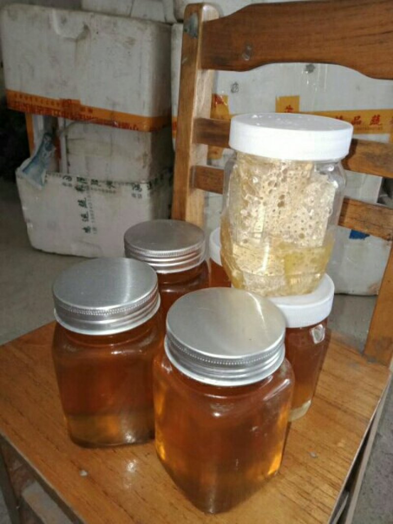 高山纯野生蜂蜜树洞蜂石洞蜂绝对正品抢手货