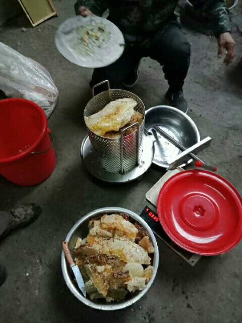 高山纯野生蜂蜜树洞蜂石洞蜂绝对正品抢手货