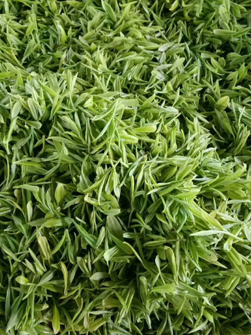 富硒香茶
