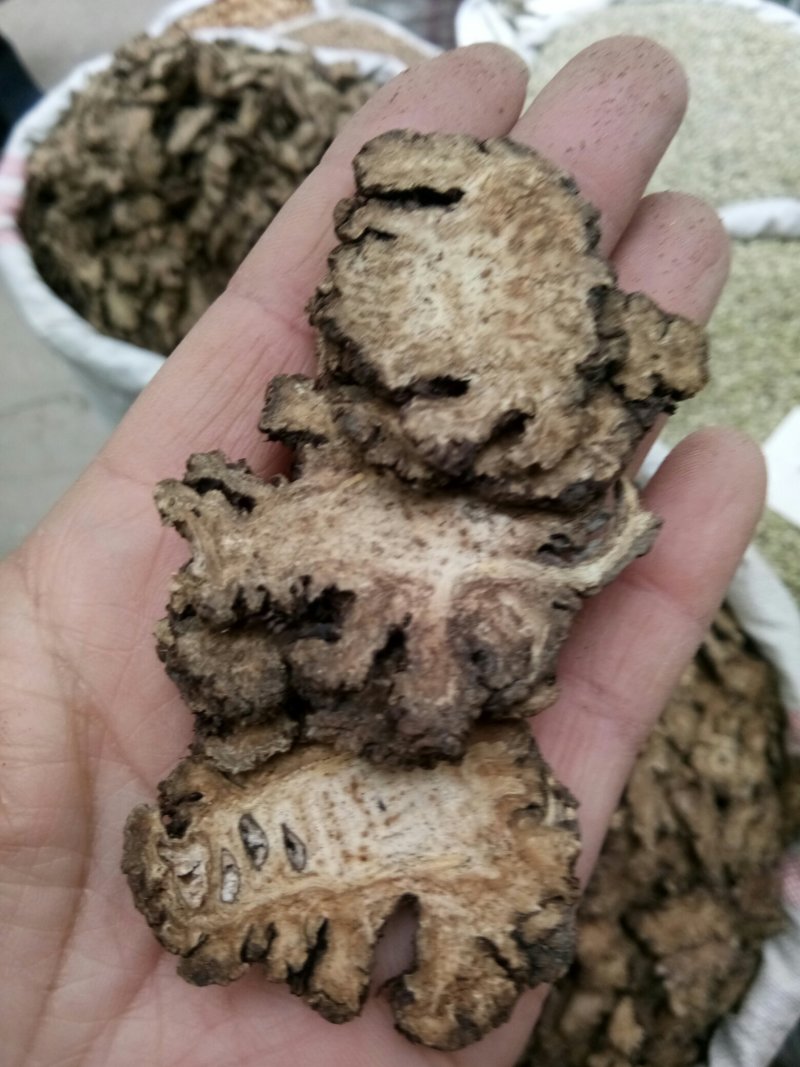中药材川芎四川散装新货批发零售