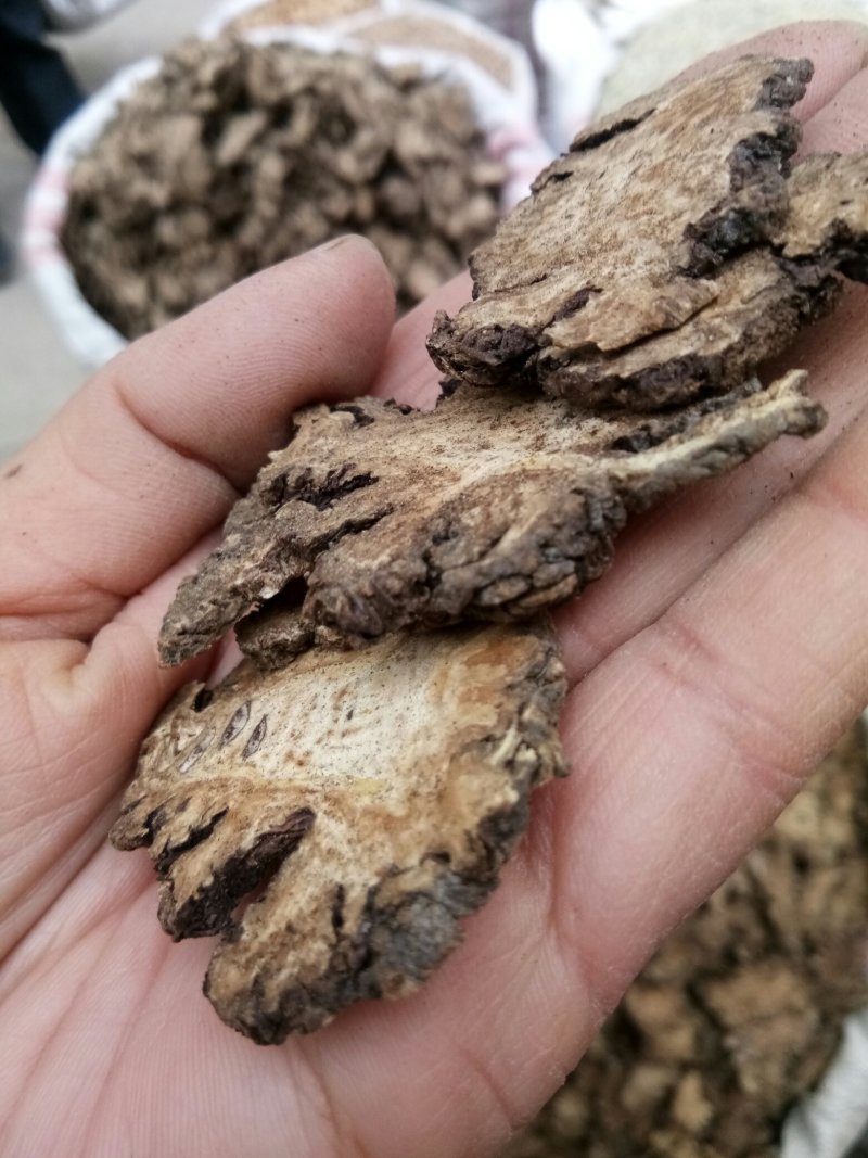 中药材川芎四川散装新货批发零售