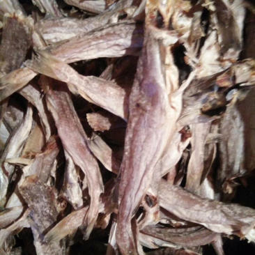 水产干货大口鱼干花鱼干鲶鱼干鲅鱼干毛扣鱼干