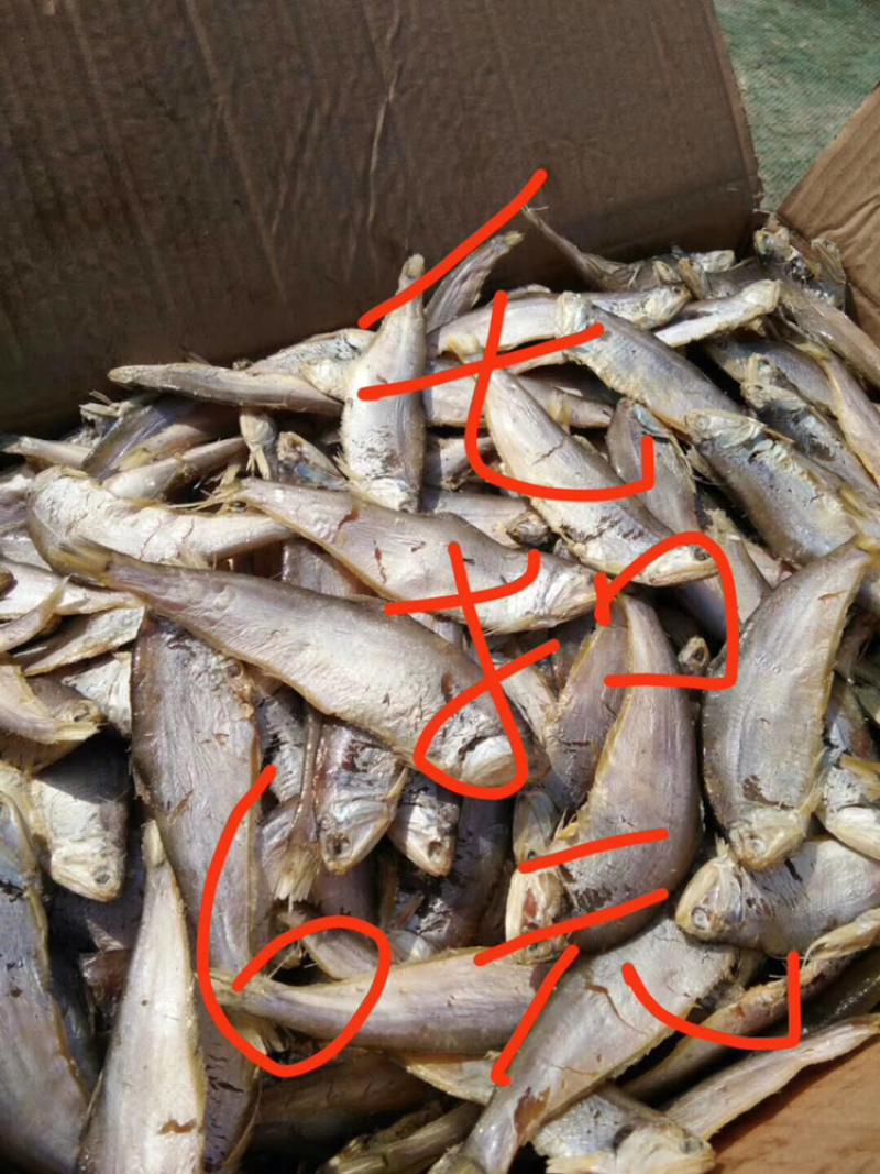 水产干货大口鱼干花鱼干鲶鱼干鲅鱼干毛扣鱼干