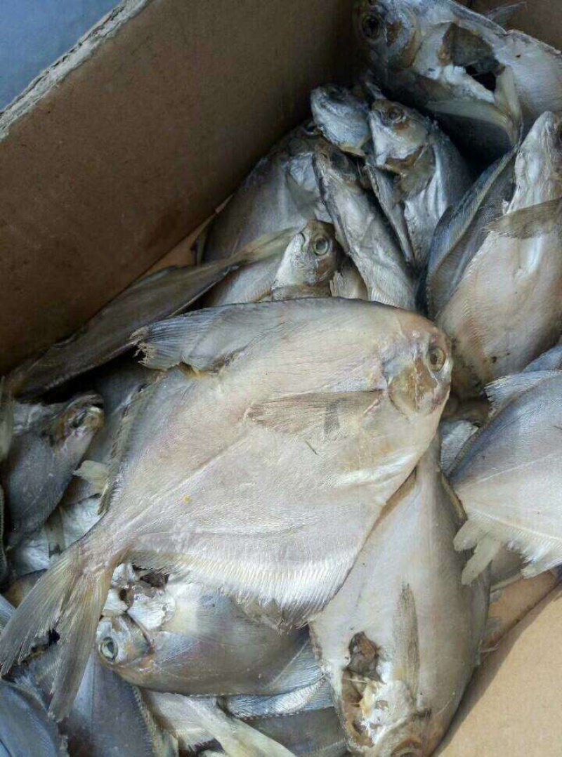 水产干货大口鱼干花鱼干鲶鱼干鲅鱼干毛扣鱼干