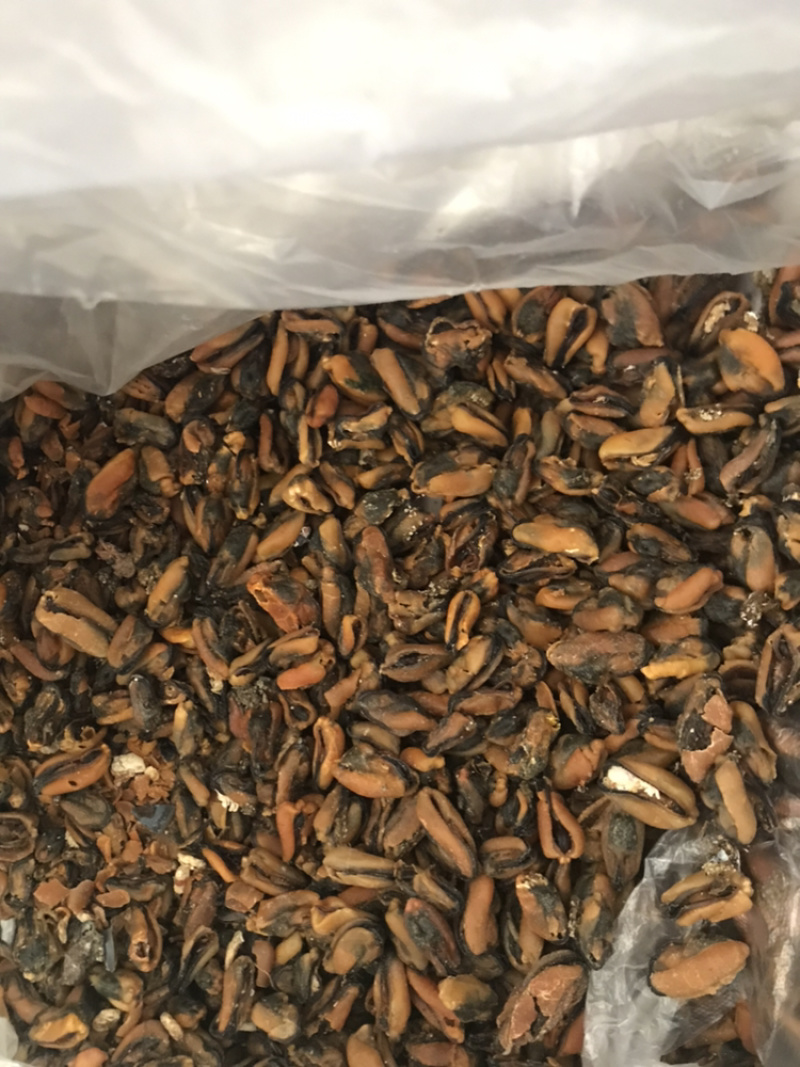 水产干货大口鱼干花鱼干鲶鱼干鲅鱼干毛扣鱼干