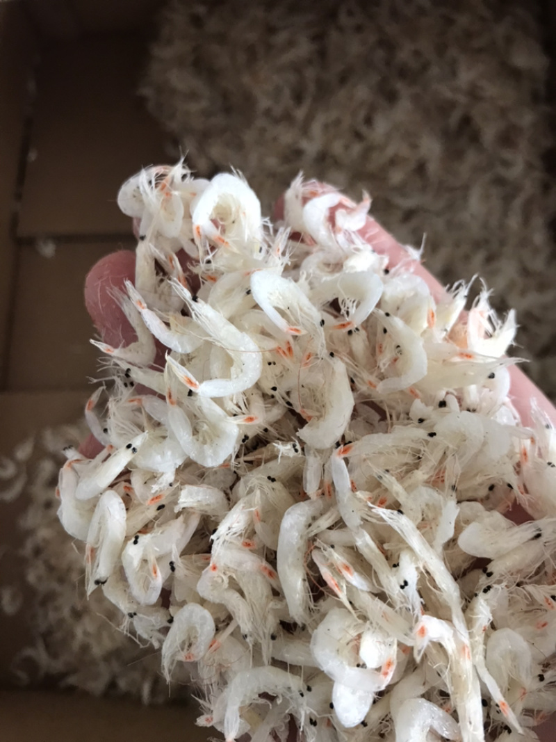水产干货大口鱼干花鱼干鲶鱼干鲅鱼干毛扣鱼干