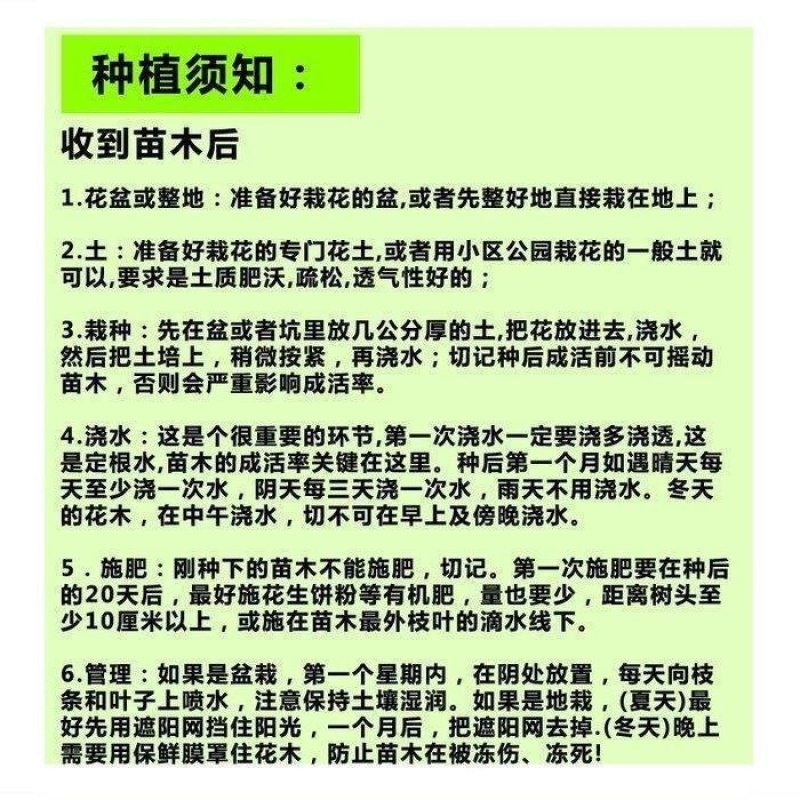 【买2送一】榴莲苗泰国榴莲树苗南方北方种植盆栽地栽苗当年