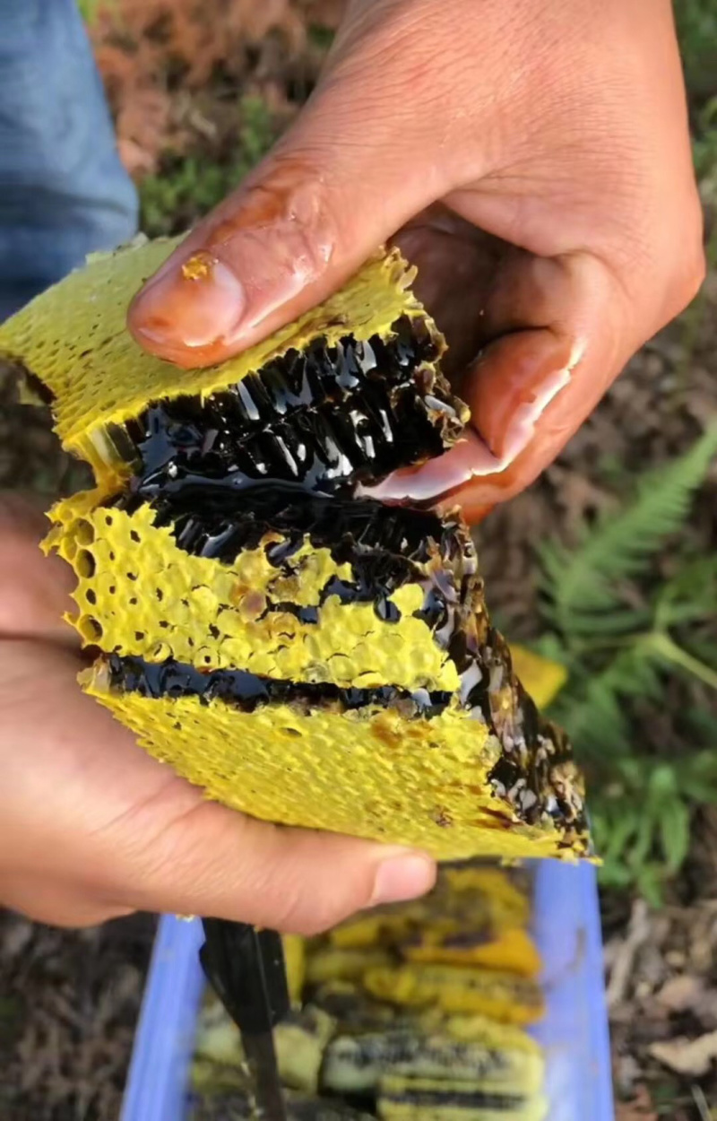 米团花缅甸黑晶蜜黑蜂蜜黑蜜