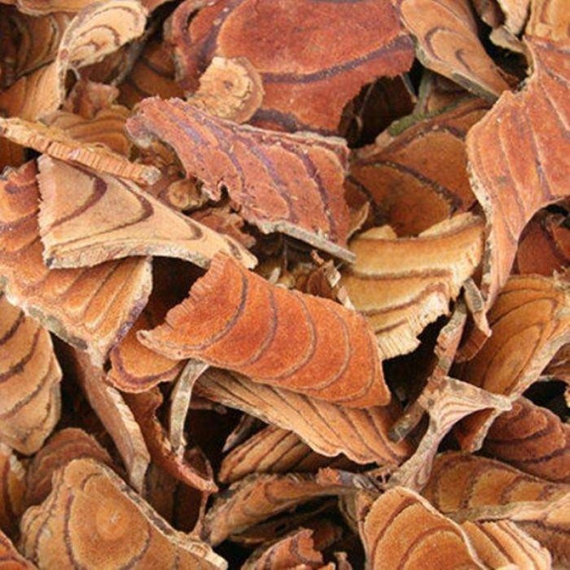 常年批发代购各种鸡血藤