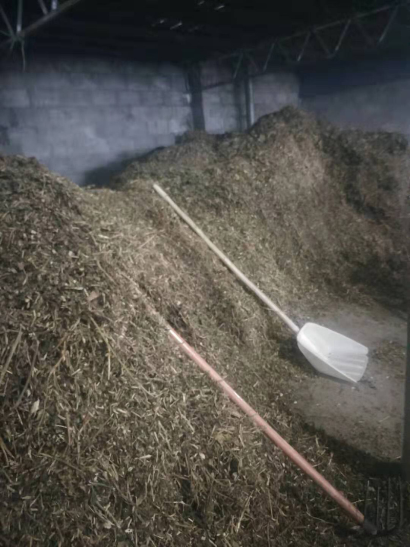 百香果藤，紫百香藤，黄金百香果藤，干藤，