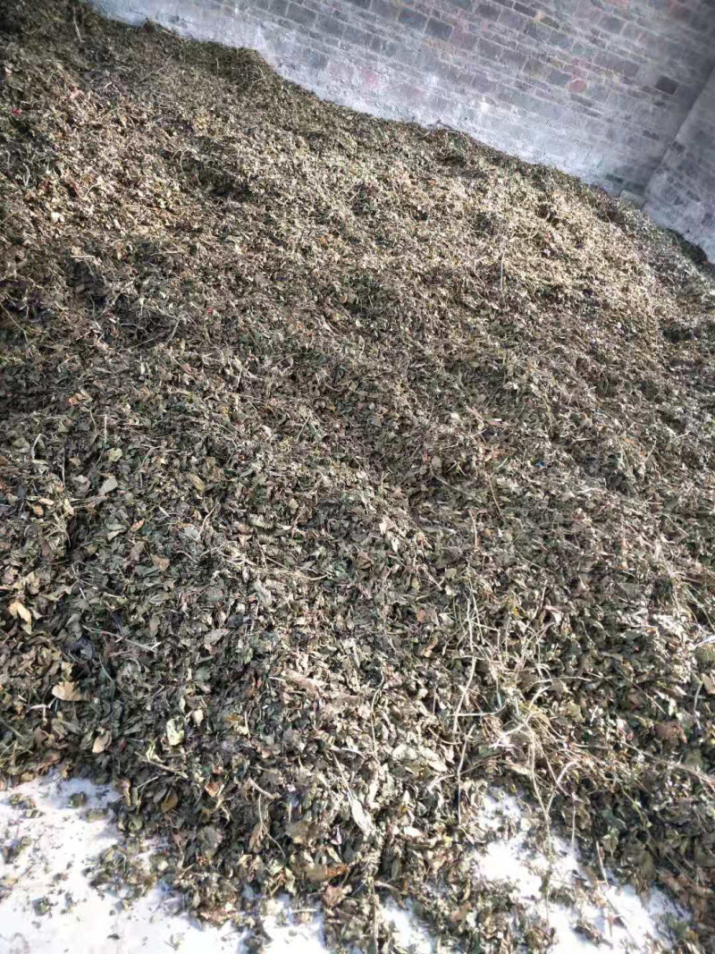 百香果藤，紫百香藤，黄金百香果藤，干藤，