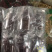 【年货节】*畅销的一克瓶装藏红花一瓶二十天的用量