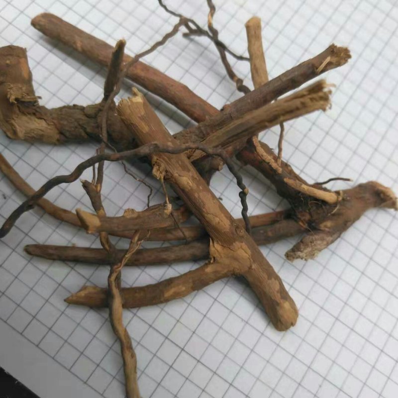透骨香产地直供支持线上交易可搭配多品种采购大货联系