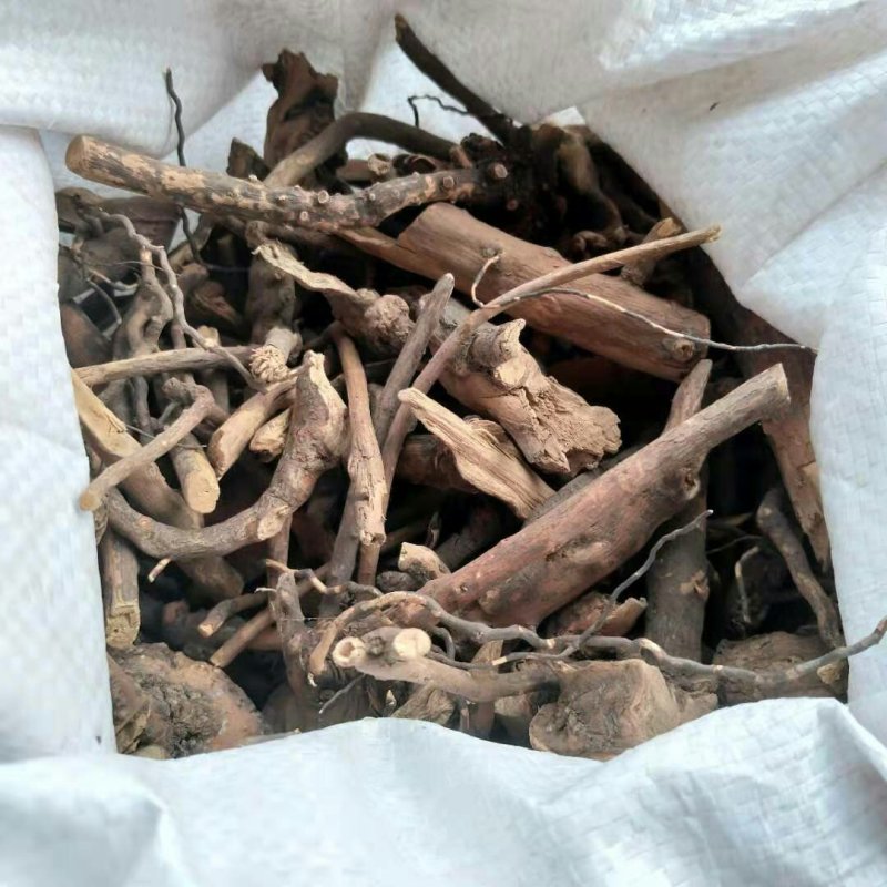 透骨香产地直供支持线上交易可搭配多品种采购大货联系