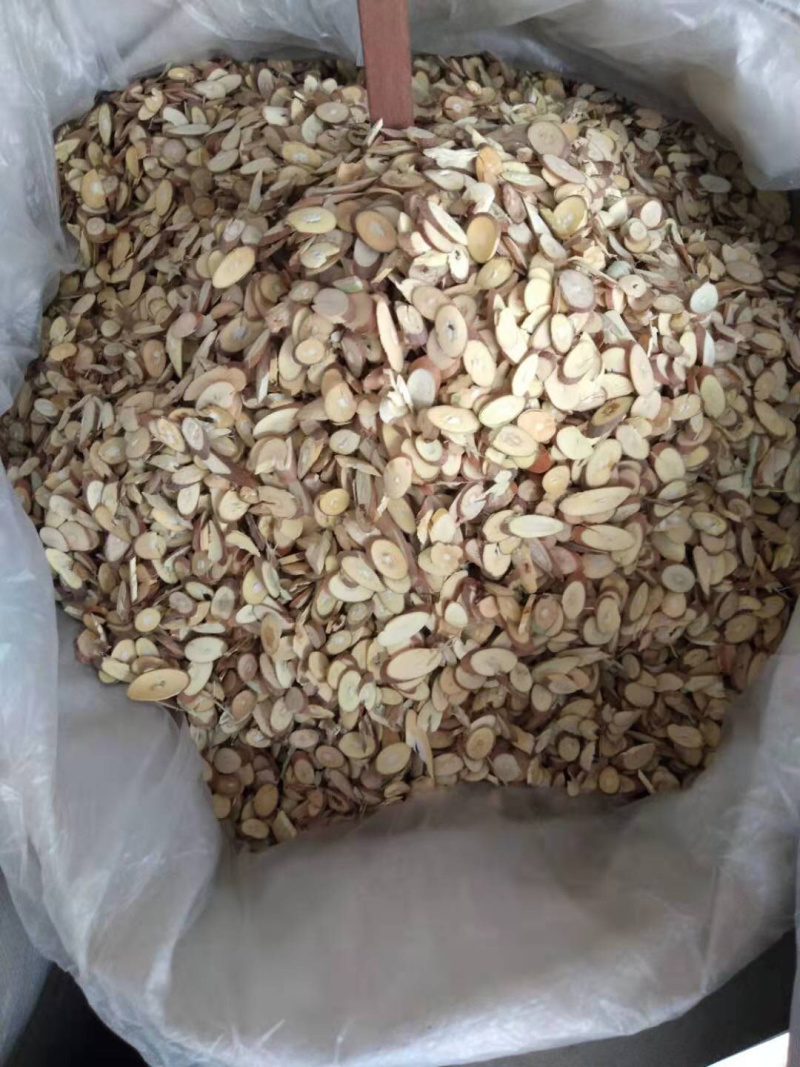 桑枝，桑枝片，桑枝干品，大货，瓜子片，云南桑枝