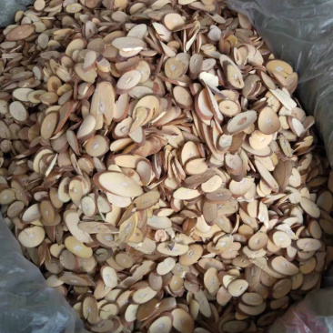 桑枝，桑枝片，桑枝干品，大货，瓜子片，云南桑枝