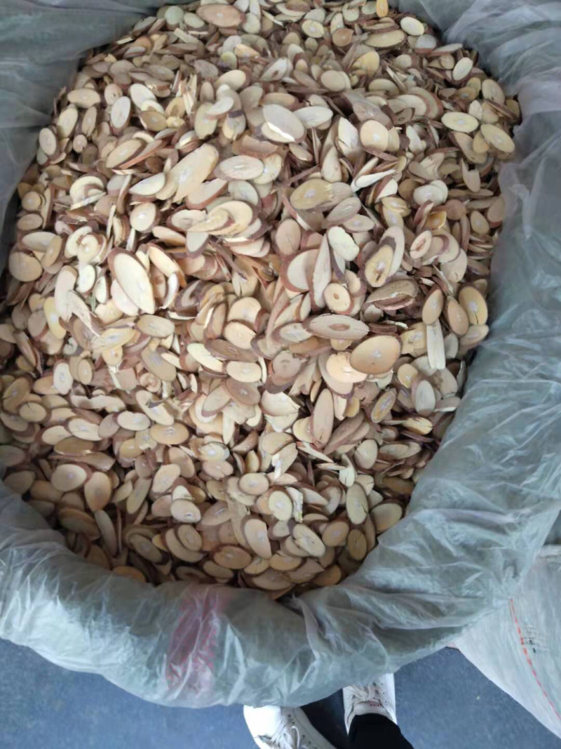桑枝，桑枝片，桑枝干品，大货，瓜子片，云南桑枝