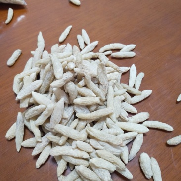 四川无硫麦冬、麦冬茶（养身麦冬）