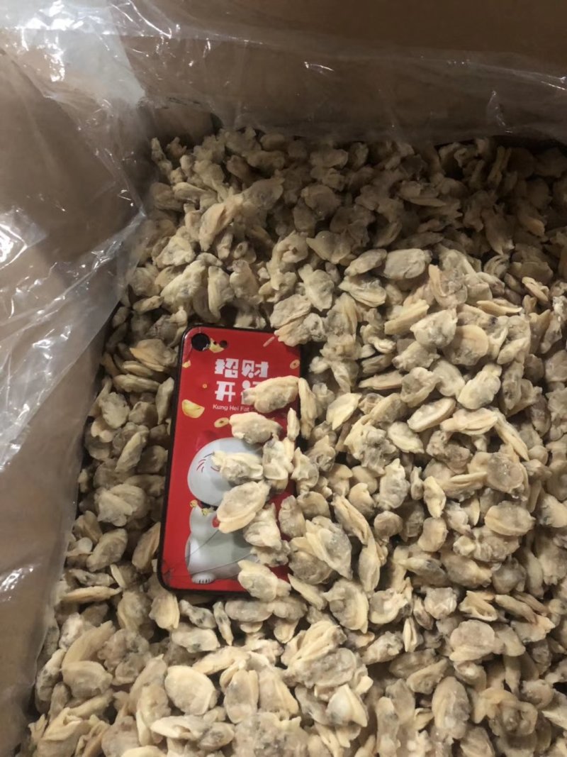 原汁花蛤肉干冰无沙