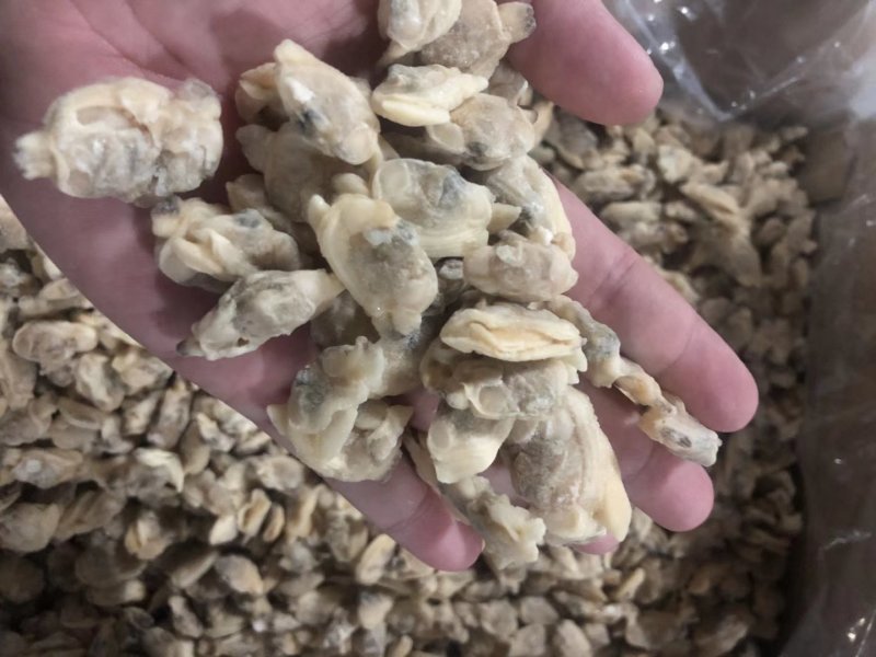 原汁花蛤肉干冰无沙