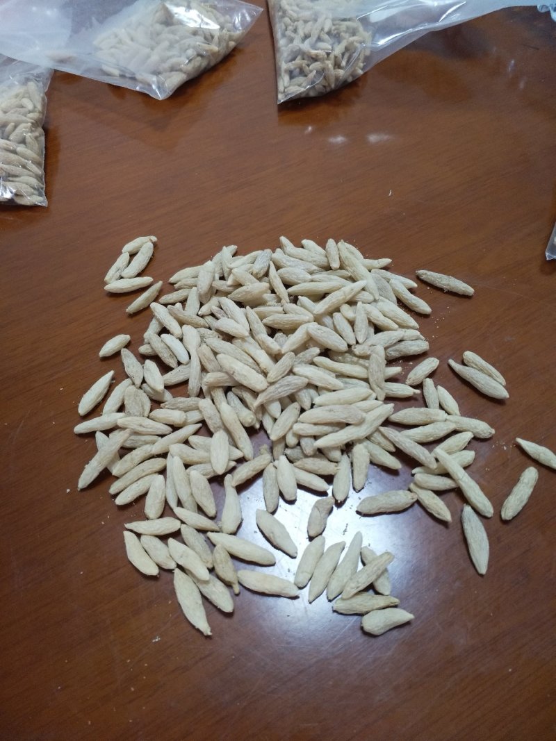 四川无硫麦冬、麦冬茶（养身麦冬）
