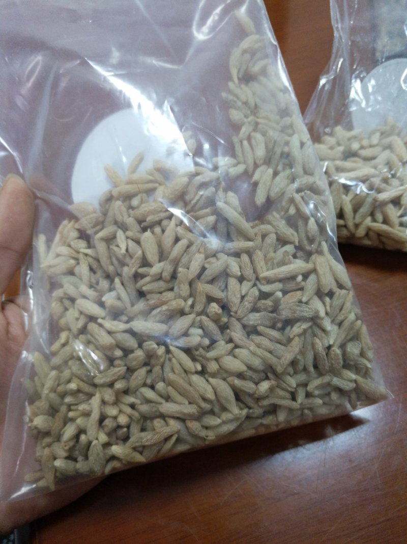 四川无硫麦冬、麦冬茶（养身麦冬）