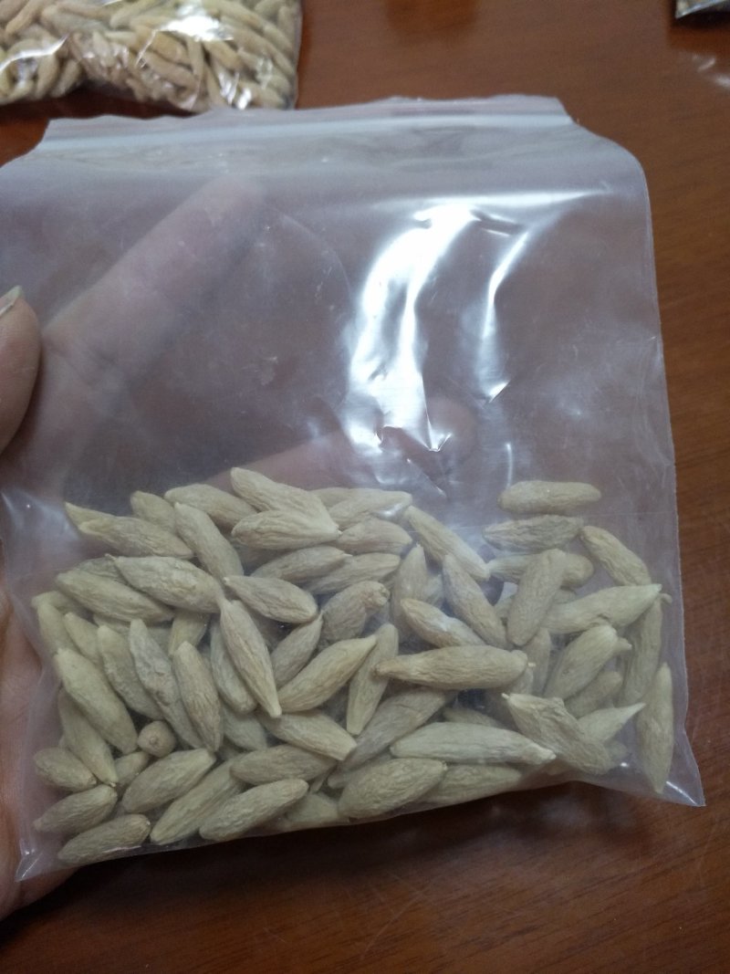 四川无硫麦冬、麦冬茶（养身麦冬）
